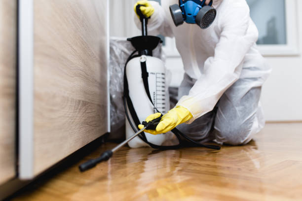 Reliable Shell Point, SC Pest Control Solutions