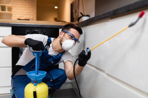 Best Mosquito Control Services  in Shell Point, SC