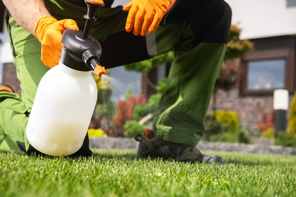 Best Affordable Pest Control Services  in Shell Point, SC
