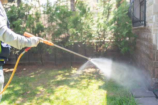 Best Insect Control  in Shell Point, SC