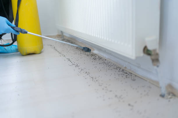 Best Affordable Pest Control Services  in Shell Point, SC