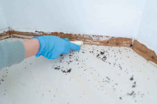 Best Commercial Pest Control Services  in Shell Point, SC