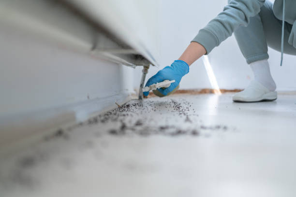 Best Wildlife Control Services  in Shell Point, SC
